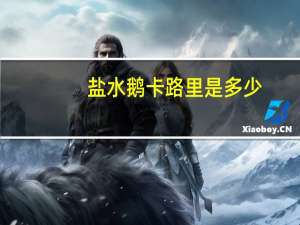 盐水鹅卡路里是多少