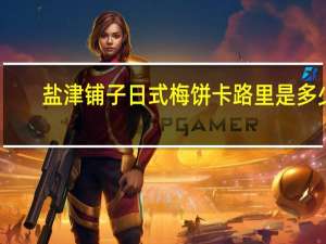 盐津铺子 日式梅饼卡路里是多少