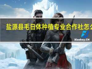 盐源县毛日体种植专业合作社怎么样
