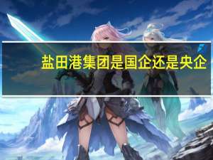 盐田港集团是国企还是央企