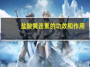盐酸黄连素的功效和作用（盐酸黄连素片的功效有什么）
