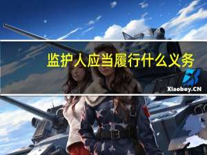 监护人应当履行什么义务