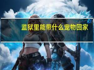 监狱里能带什么宠物回家