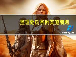 监理处罚条例实施细则
