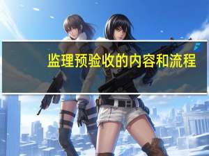 监理预验收的内容和流程