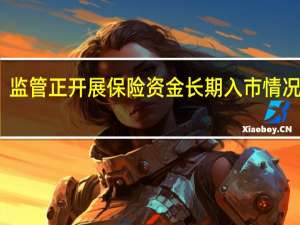 监管正开展保险资金长期入市情况调研
