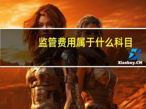 监管费用属于什么科目