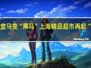 盒马变“黑马” 上海精品超市再起“商战”
