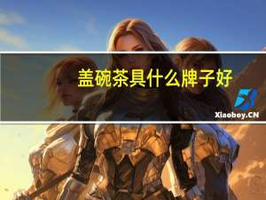 盖碗茶具什么牌子好