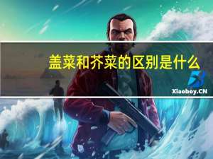 盖菜和芥菜的区别是什么