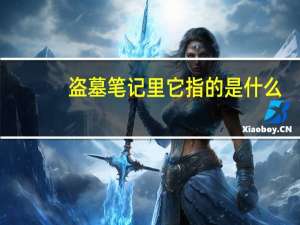 盗墓笔记里它指的是什么