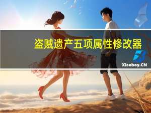 盗贼遗产五项属性修改器 +5 绿色免费版（盗贼遗产五项属性修改器 +5 绿色免费版功能简介）