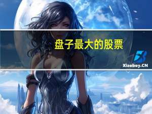 盘子最大的股票