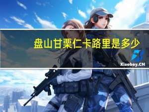 盘山 甘栗仁卡路里是多少