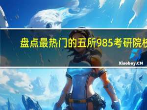 盘点最热门的五所985考研院校