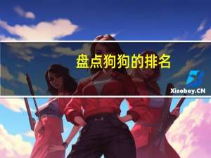 盘点狗狗的排名