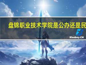 盘锦职业技术学院是公办还是民办