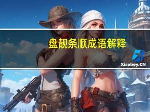 盘靓条顺成语解释