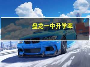 盘龙一中升学率