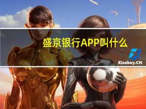 盛京银行APP叫什么