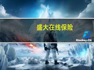 盛大在线保险（盛大保险客服电话是多少）