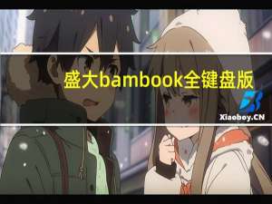 盛大bambook全键盘版（盛大bambook）