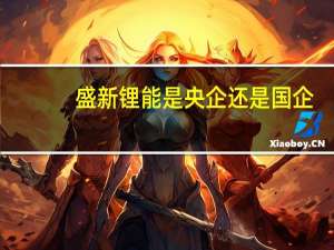 盛新锂能是央企还是国企