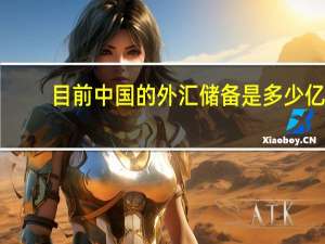 目前中国的外汇储备是多少亿