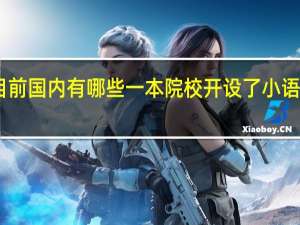 目前国内有哪些一本院校开设了小语种专业