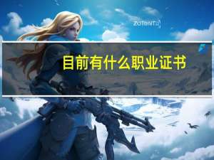 目前有什么职业证书