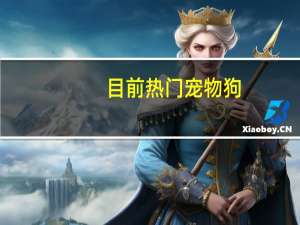 目前热门宠物狗