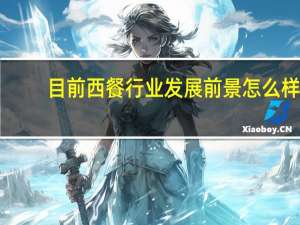 目前西餐行业发展前景怎么样