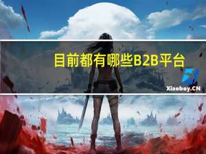目前都有哪些B2B平台