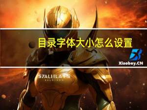 目录字体大小怎么设置