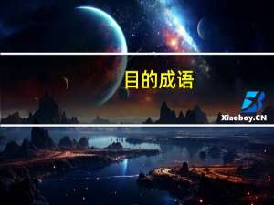目的成语