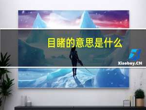 目睹的意思是什么（目睹的意思）