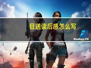 目送读后感怎么写（目送读后感200字20篇急急急）