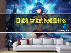 目镜和物镜的长短是什么（目镜和物镜的长短）
