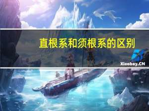 直根系和须根系的区别