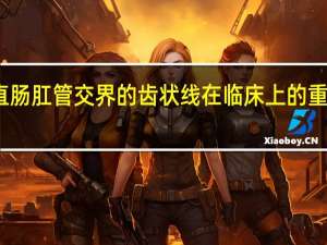 直肠肛管交界的齿状线在临床上的重要性是