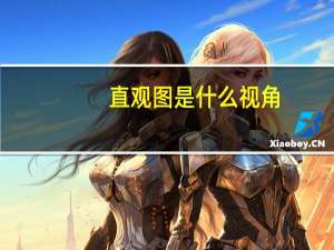 直观图是什么视角（直观图是什么）