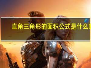 直角三角形的面积公式是什么啊