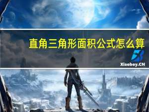 直角三角形面积公式怎么算（直角三角形面积公式）