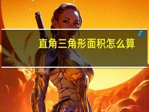 直角三角形面积怎么算