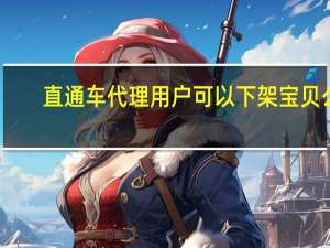 直通车代理用户可以下架宝贝么（直通车代理）