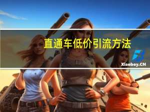 直通车低价引流方法（直通车魔镜）