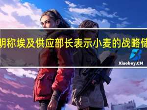 相关声明称埃及供应部长表示小麦的战略储备足够供应4.7个月