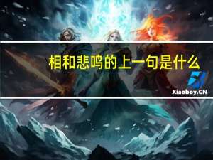 相和悲鸣的上一句是什么