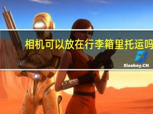 相机可以放在行李箱里托运吗