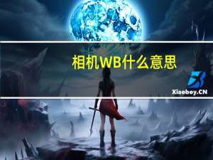 相机WB什么意思